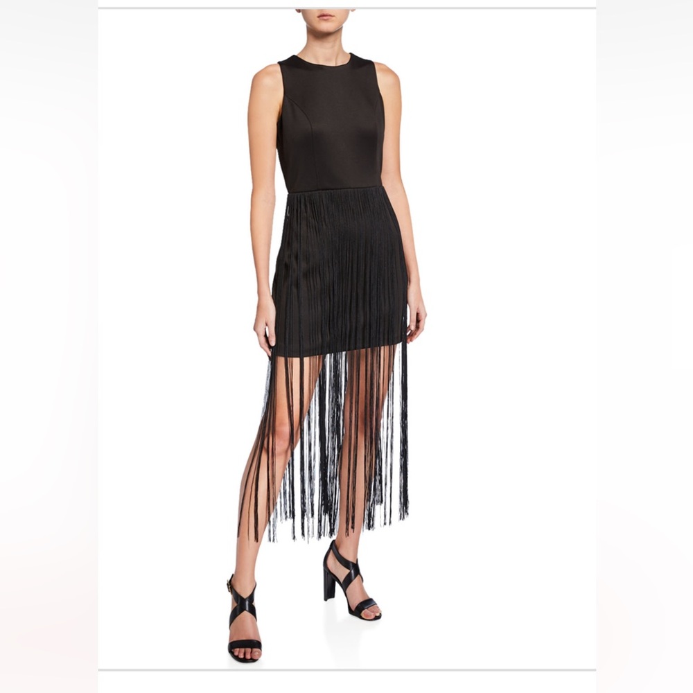 Bebe Fringe T-Length Sheath Dress - NWT SZ 4 (Small)